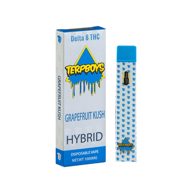 Terpboys Hybrid Delta 8 THC Disposable Vape Device - 1PC