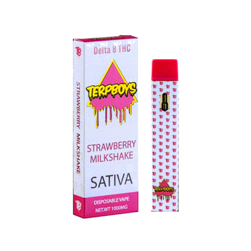Terpboys Sativa Delta 8 THC Disposable Vape Device - 1PC